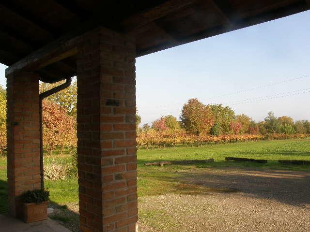 Agriturismo Bosco Del Fracasso Scandiano Dış mekan fotoğraf